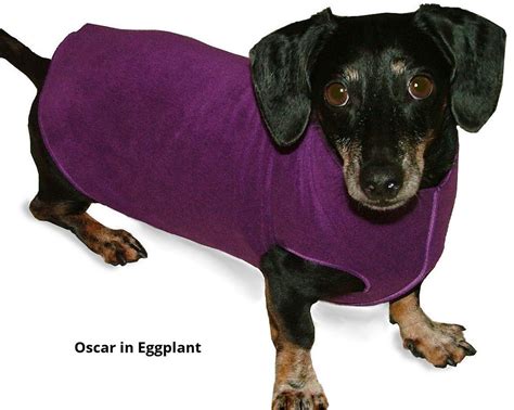 Dachshund Sweater Dachshund Dog Harness