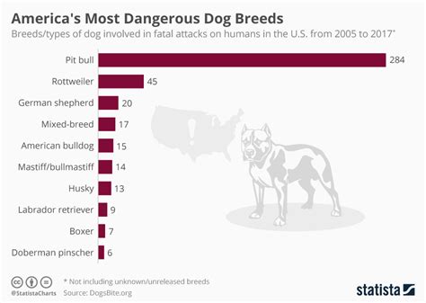 Chart Americas Most Dangerous Dog Breeds Statista