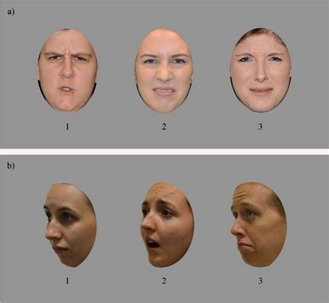 figure 1 from new tests to measure individual differences in matching and labelling facial