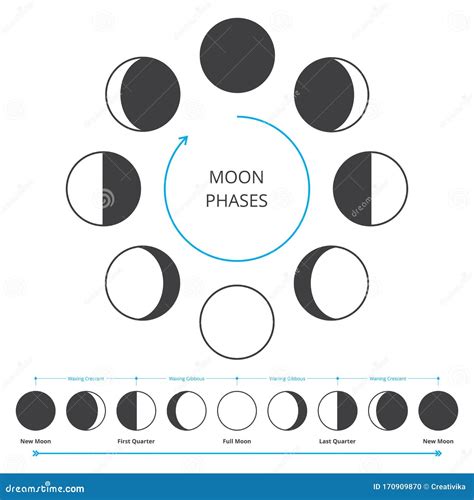 Moon Phases Icons Stock Vector Illustration Of Science 170909870