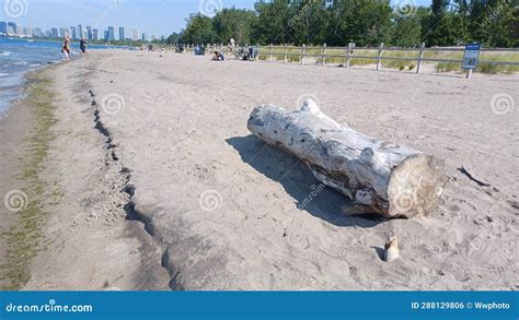 Hanlan S Point Nude Beach View On Toronto Islands Editorial Photo Image Of Iconic Toronto