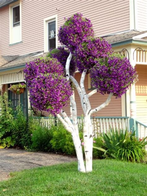 Beautiful Flowering Tree For Yard Landscaping 4 Yard Landscaping