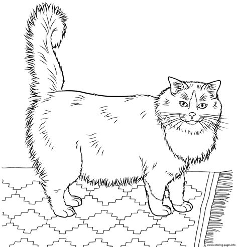 Realistic kitten coloring pages with ribbon. Realistic Furry Cat Coloring Pages Printable