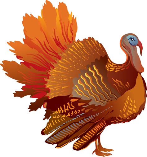 Thanksgiving Sideview Turkey Transparent Png Stickpng