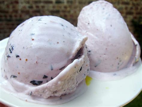 Blueberry Summer Solstice Yoghurt Ice Cream Ice Cream Nation