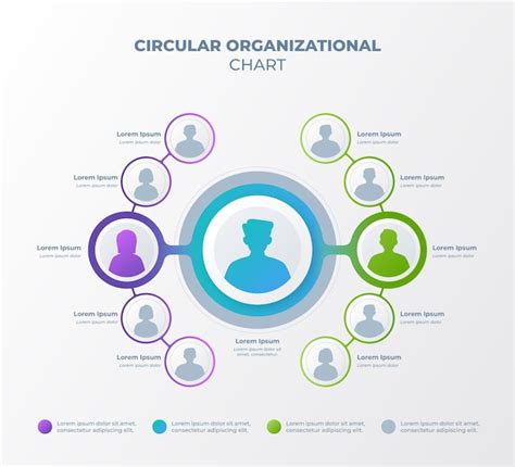 Modèle De Conception Infographique Dorganigramme Circulaire Vecteur