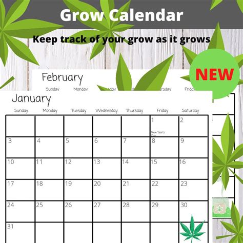 Cannabis Grow Calendar Printable 2024 Calendar Printable