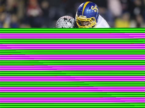 Panthers roar back, earn win - The Blade