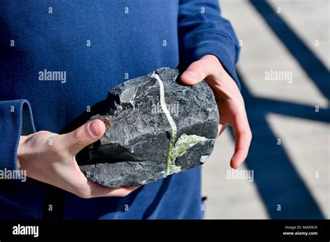 Holding A Rock In Hands Stock Photo Alamy
