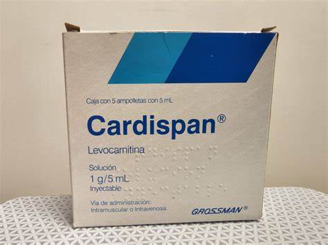 Жиросжигатели отзывы l carnitine Injectable L-Carnitine - Dreambody Clinic Injectable L-Carnitine - Dreambody Clinic Жиросжигатели отзывы l carnitine