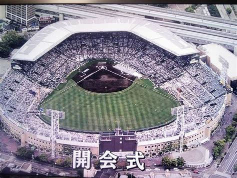 Search for text in self post contents. 甲子園開会式 - お散歩がてら・・・