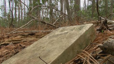Buried History South Carolina Residents Uncover Long Lost Cemetery Nbc4 Wcmh Tv