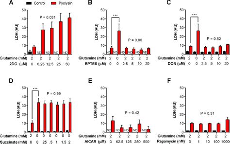 Since it is a glycolysis inhibitor, it is relevant to all cancers visible on pet scan. Stromal cell metabolism and cytoprotection against ...