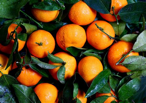 1920x1080 Wallpaper Orange Citrus Fruit Peakpx