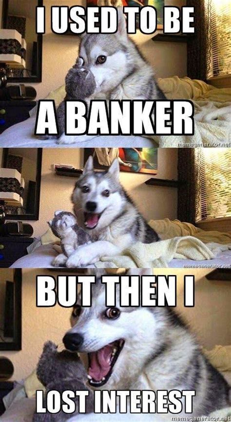 🤣🤣🤣 Funny Dog Jokes Funny Animal Jokes Funny Dog Memes