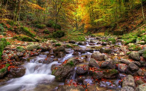 Beautiful Autumn Landscape Background Mountainous River Stone Forest