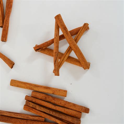 Maybe because my mom wasn't really a fan of how long do these last? Make Glittery Cinnamon Stick Star Oranaments | The DIY Mommy