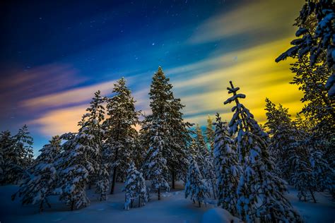 Winter Forest Sunset Hd Wallpaper Background Image 2048x1367