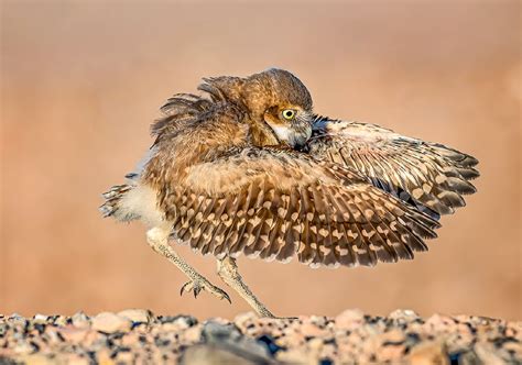 40 Stunning Winning Photos Of The Natures Best Photography