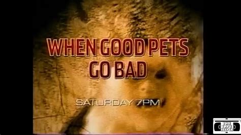When Good Pets Go Bad Promo Spike Tv 2006 Youtube