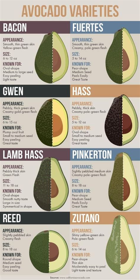 Everything You Ve Ever Wanted To Know About Avocados Avocado