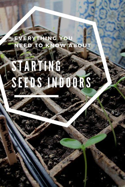Everything You Need To Know About Starting Seeds Indoors Lots Of Tips