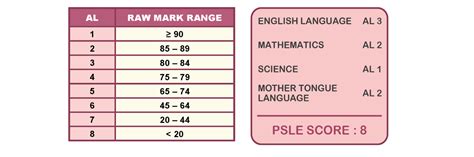 The subject of the text is the mother's hair (?) and the pov is first person. Mother Tongue-exempted students at PSLE will be assigned lowest 3 grades for subject under new ...