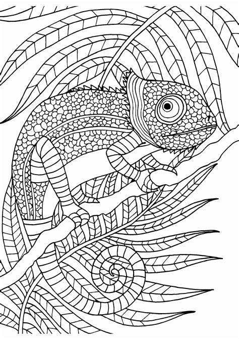 printable coloring pages  adults advanced  coloring page blog