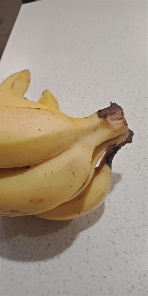 This Banana And Its Conjoined Twin Rmildlyinteresting