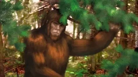 Watch Bigfoot Filmed Sneaking A Peek At Sasquatch Researchers In
