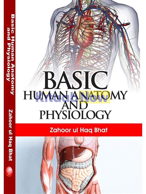 Basic Human Anatomy And Physiology Kitaabnow