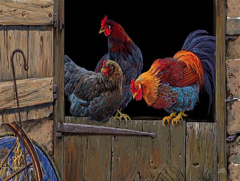 Rooster On The Barn Door Chickens Barn Door Rooster Hd Wallpaper
