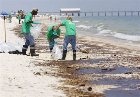 Bp Begins Using Heavy Machinery To Dig Up Buried Oil From Gulf Of Mexico Spill