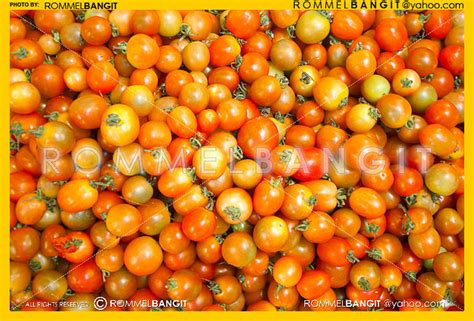 The Health Wonders Of Philippines Native Tomatoes As Merchandise In