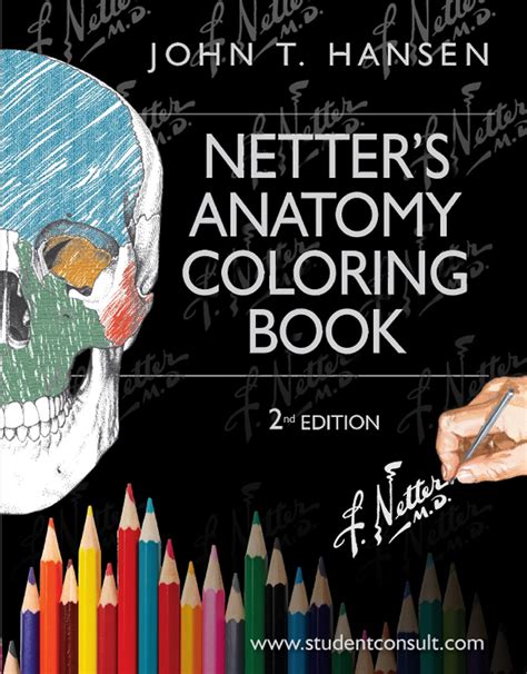 Netter Para Colorir Monitoria Anatomia I