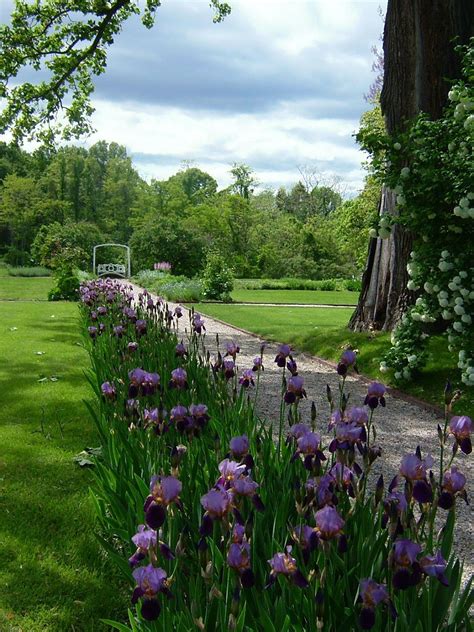 Dutchess County Tourism Beautiful Gardens Iris Garden Love Garden