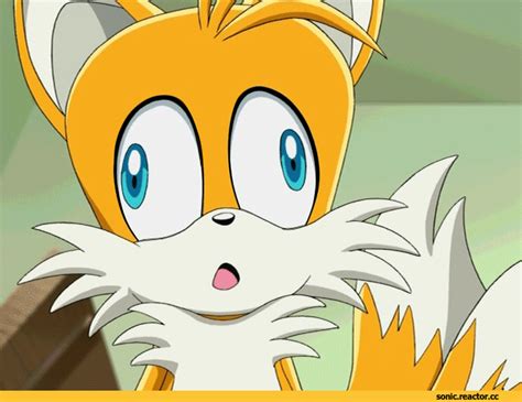 Tails Gif
