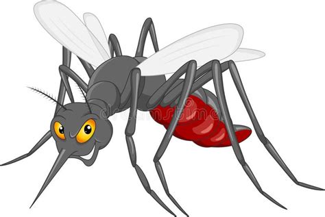 Mosquito Cartoon Vector Illustration Of Mosquito Cartoon Affiliate