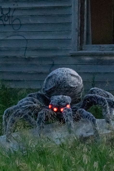 Halloween Spider Decorations Pack Giant Hairy Spider Large Realistic
