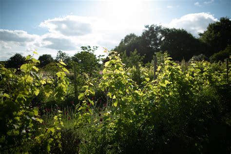 Les Jardins Remarquables Du Berry