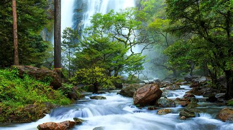 Green Forest Wallpaper Waterfalls Forest 1920x1080 Download Hd