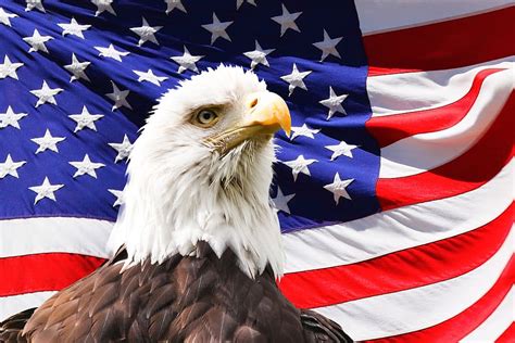 American Flag Eagle Wallpaper Hd
