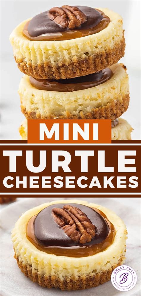 Mini Turtle Cheesecakes Belly Full