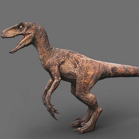 3d Model Velociraptor Jurassic Park Velociraptor Jurassic Park