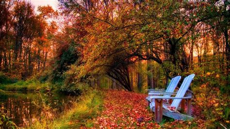 We did not find results for: A Peaceful Autumn Day Wallpaper and Background Image ...