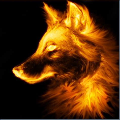 Fire Wolves Of Io ©2010 Revised Re Post Wolf Pictures Fire Art