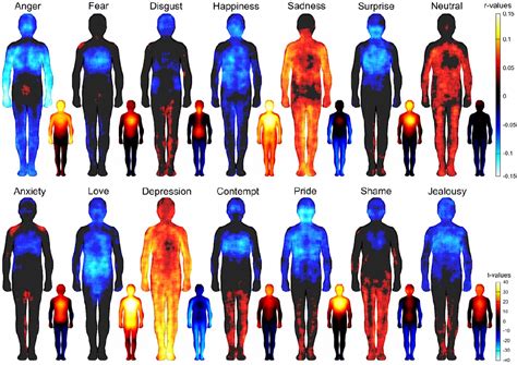 Figure 4 From Bodily Maps Of Emotions Are Culturally Universal