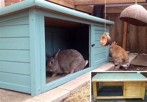 Providing Your Rabbit With A Shelter Or Hideaway