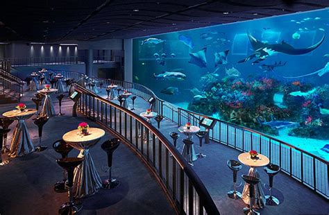 Underwater Events At Ocean Gallery In Sea Aquarium Destination Asia