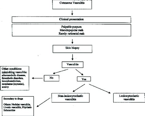 Diagnostic Approach In A Patient Presenting With Cutaneous Vasculitis